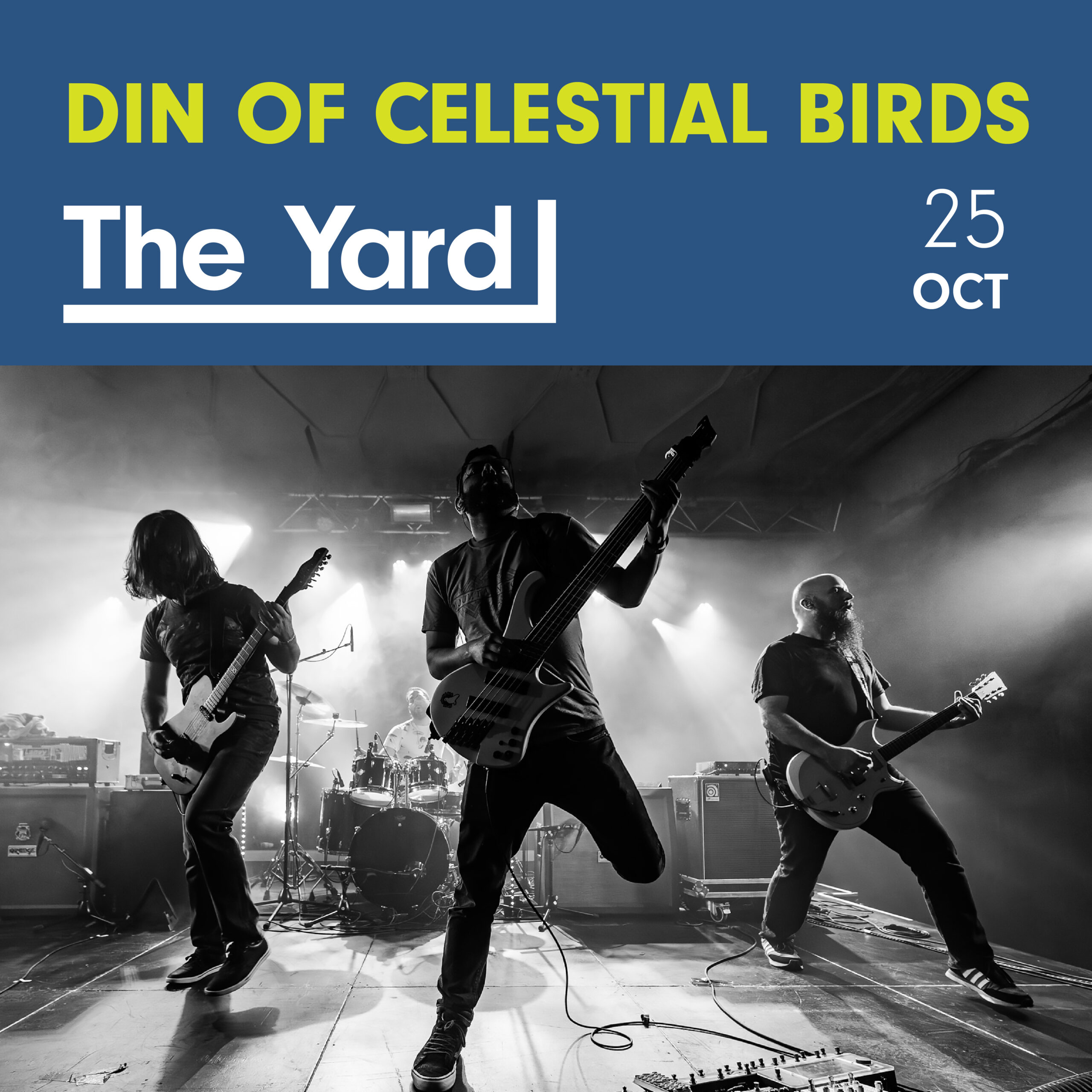 Din of Celestial Birds